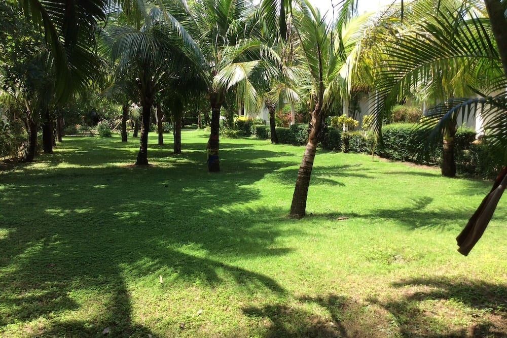 Outdoor view