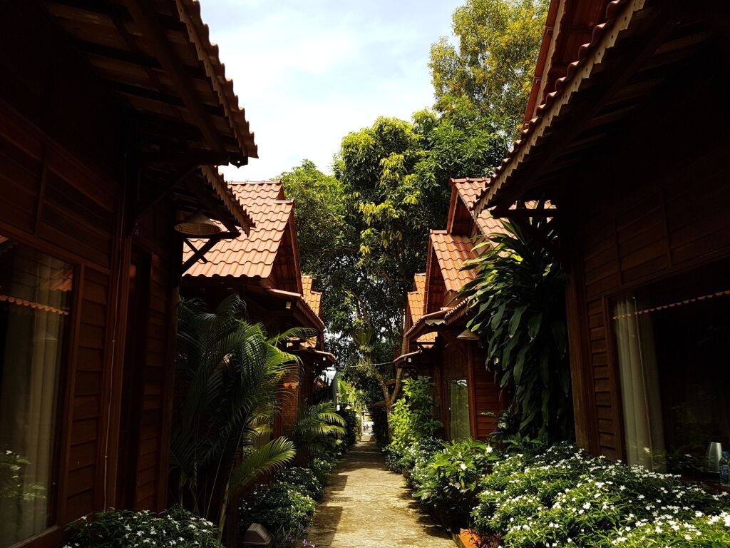 Outdoor view