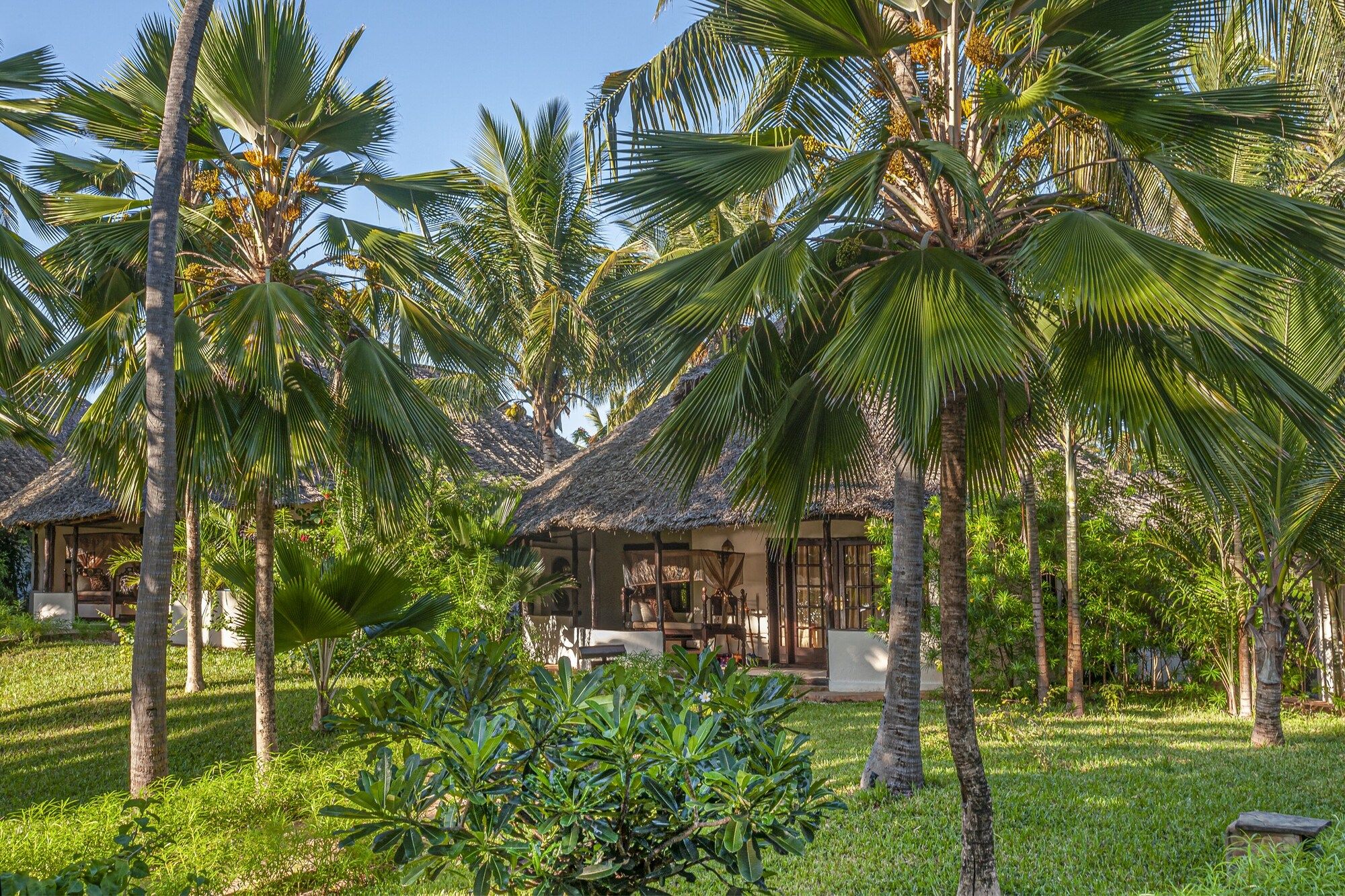Outdoor view