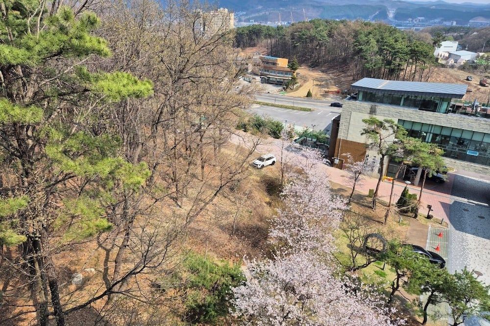 Outdoor view