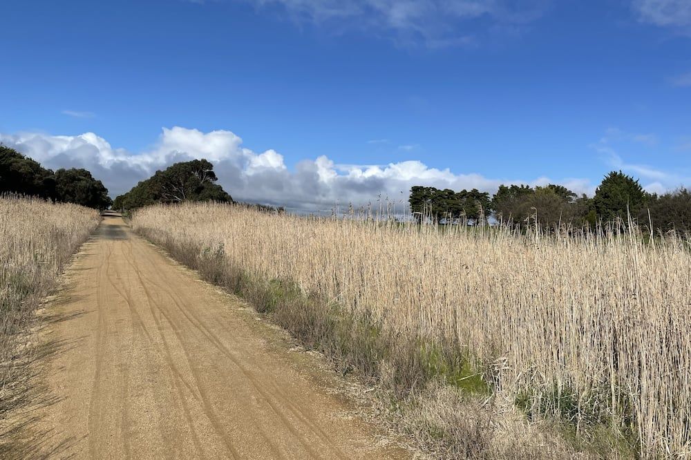 Outdoor view