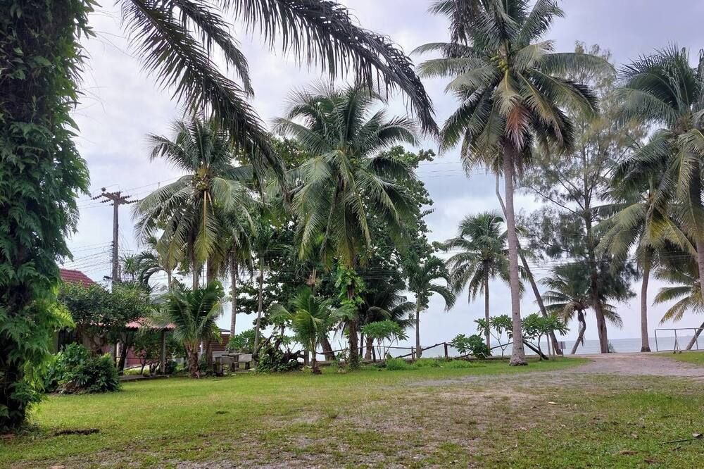 Outdoor view