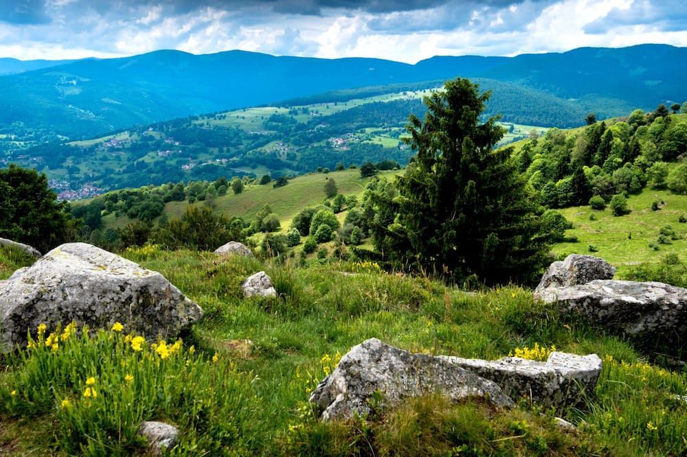 Outdoor view