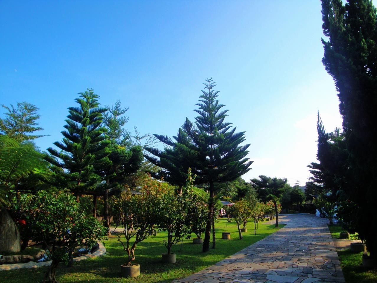 Outdoor view