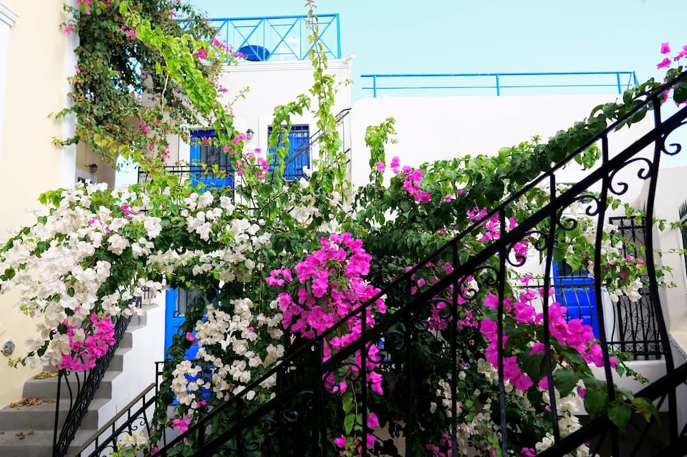 Outdoor view