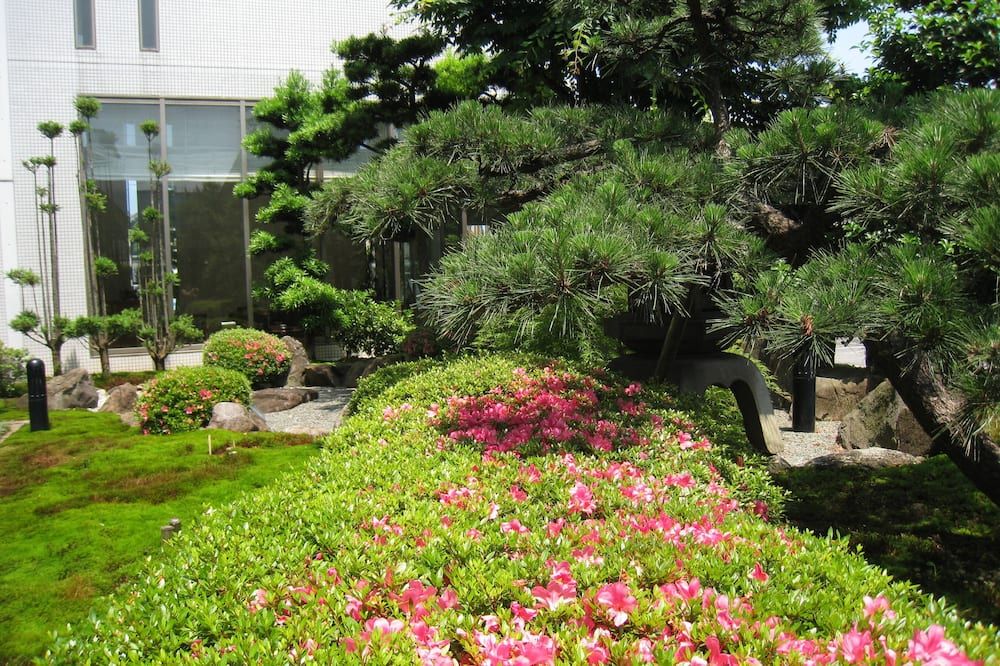 Outdoor view