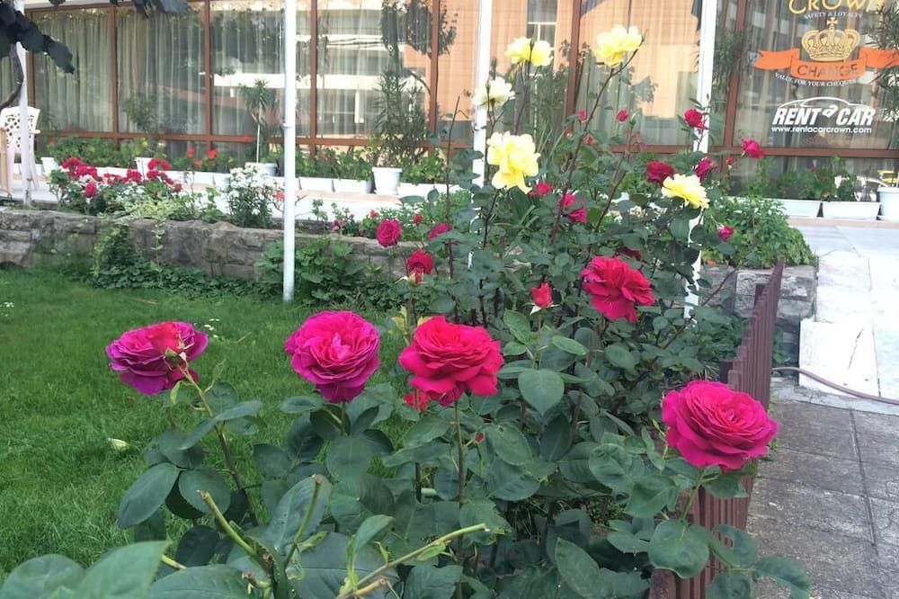 Outdoor view