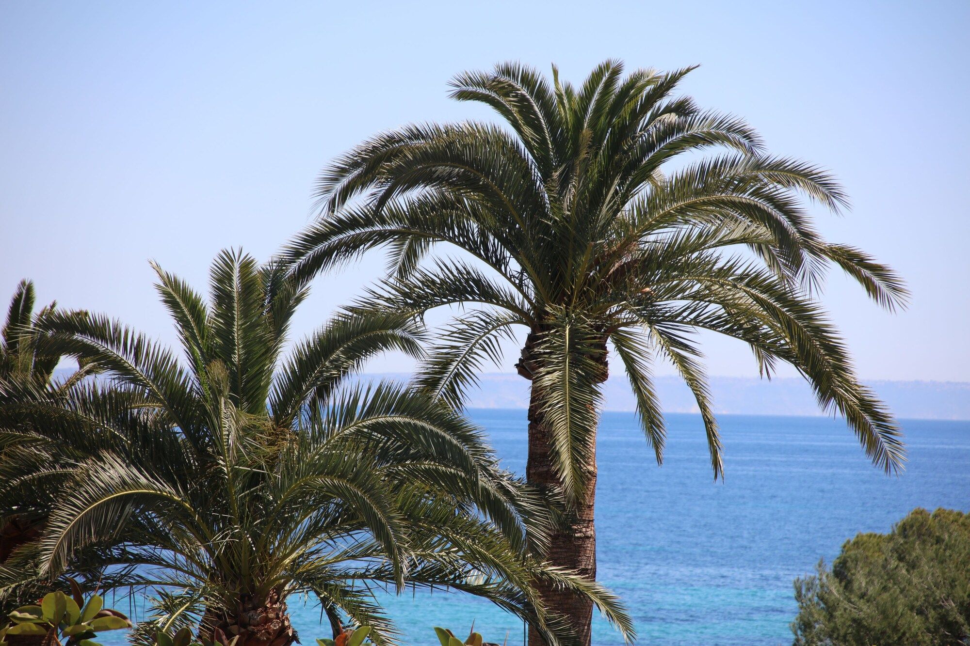 Outdoor view