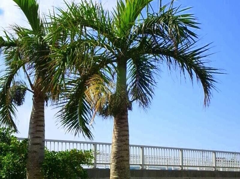 Outdoor view