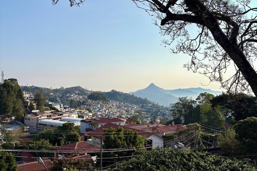 Outdoor view