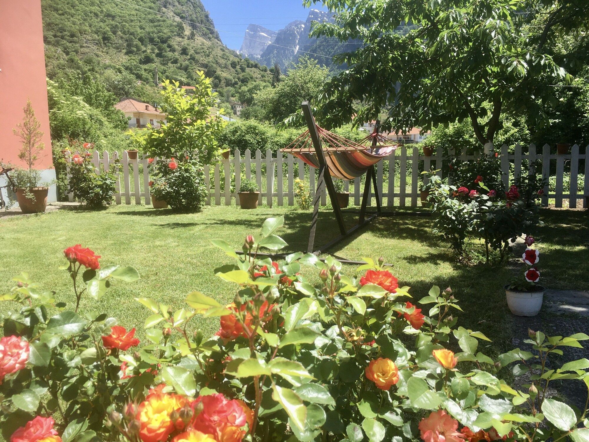 Outdoor view
