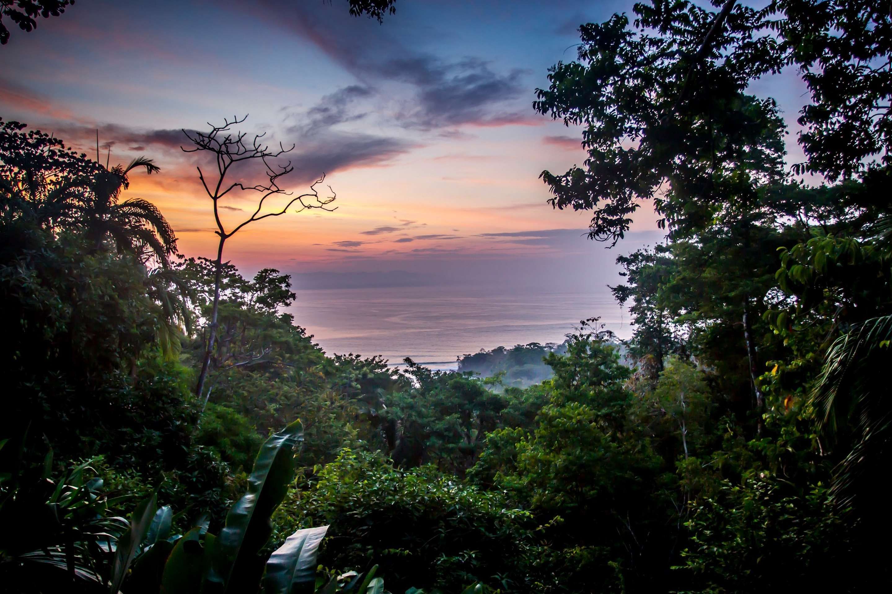 Outdoor view
