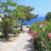 Outdoor view