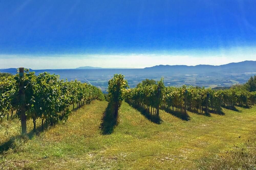 Outdoor view