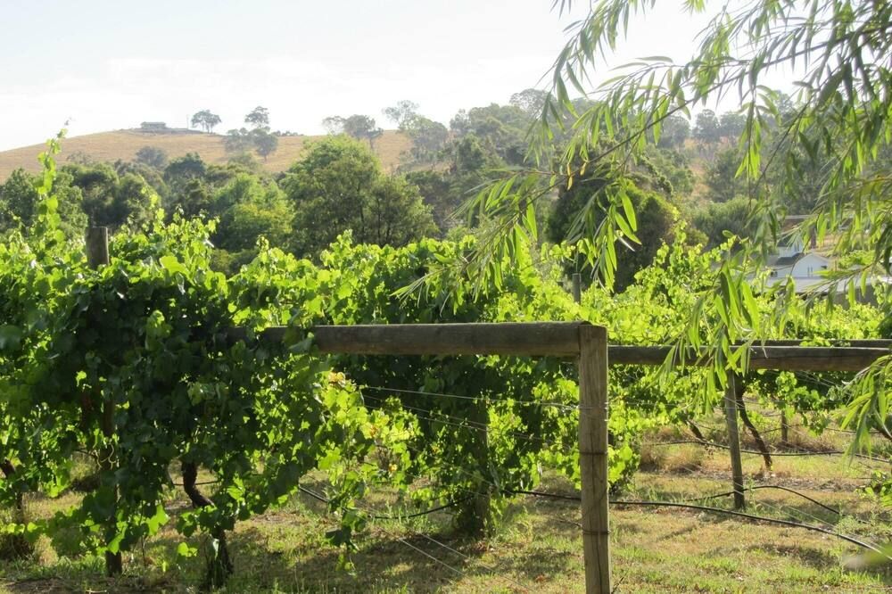 Outdoor view