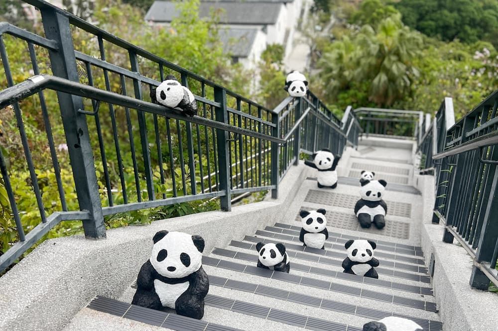 Stairs Photo
