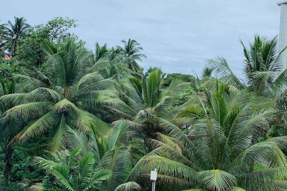 Outdoor view