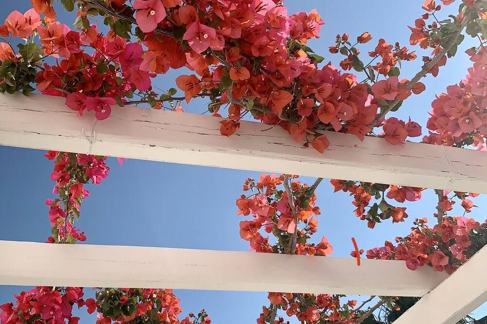 Outdoor view