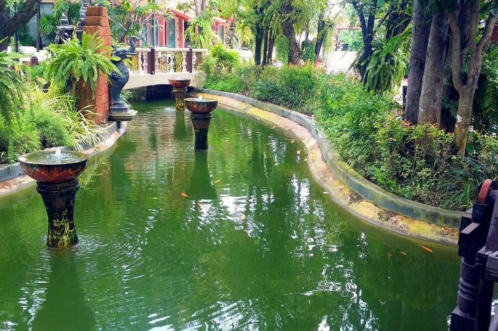 Outdoor view