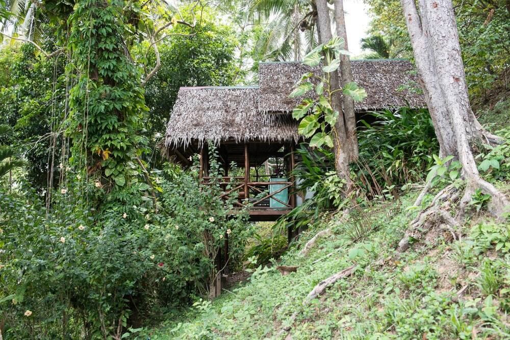 Outdoor view