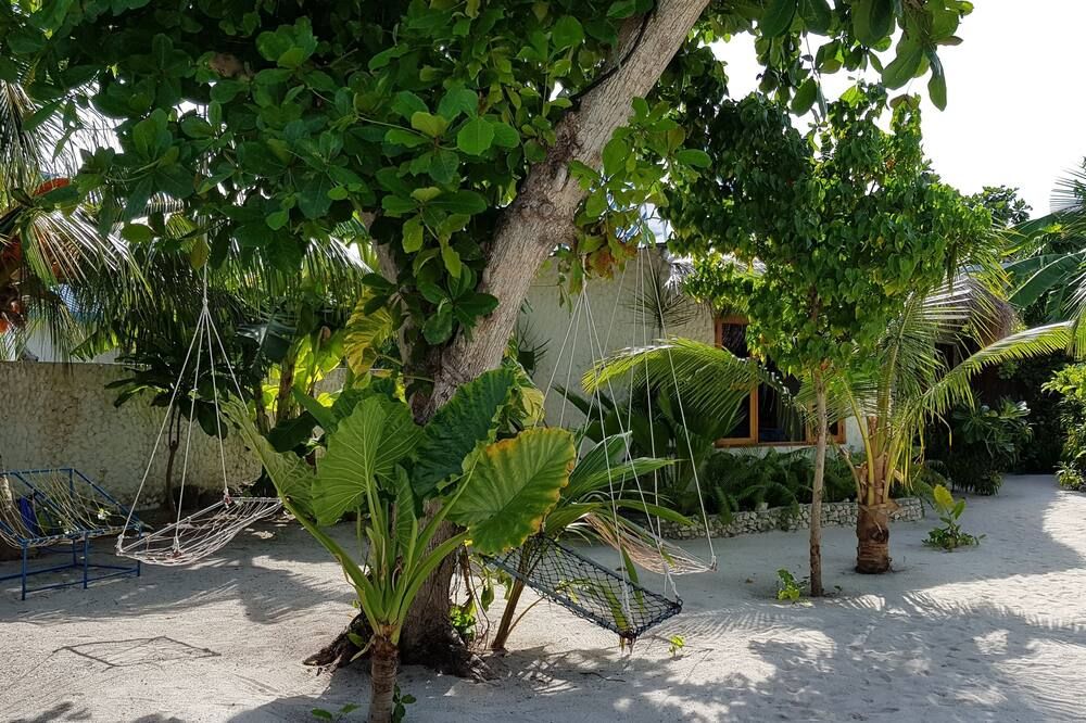 Outdoor view
