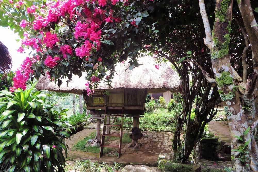 Outdoor view