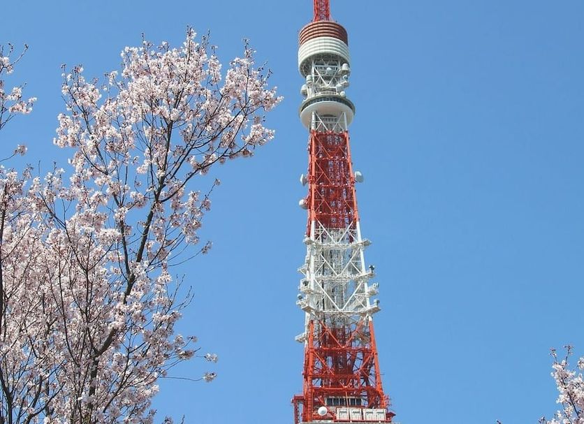 Other Photo