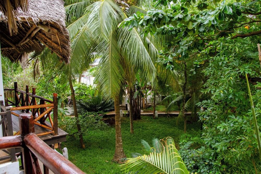 Outdoor view
