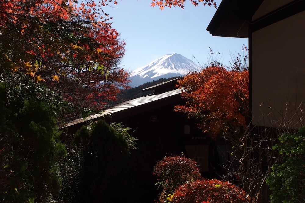 Outdoor view