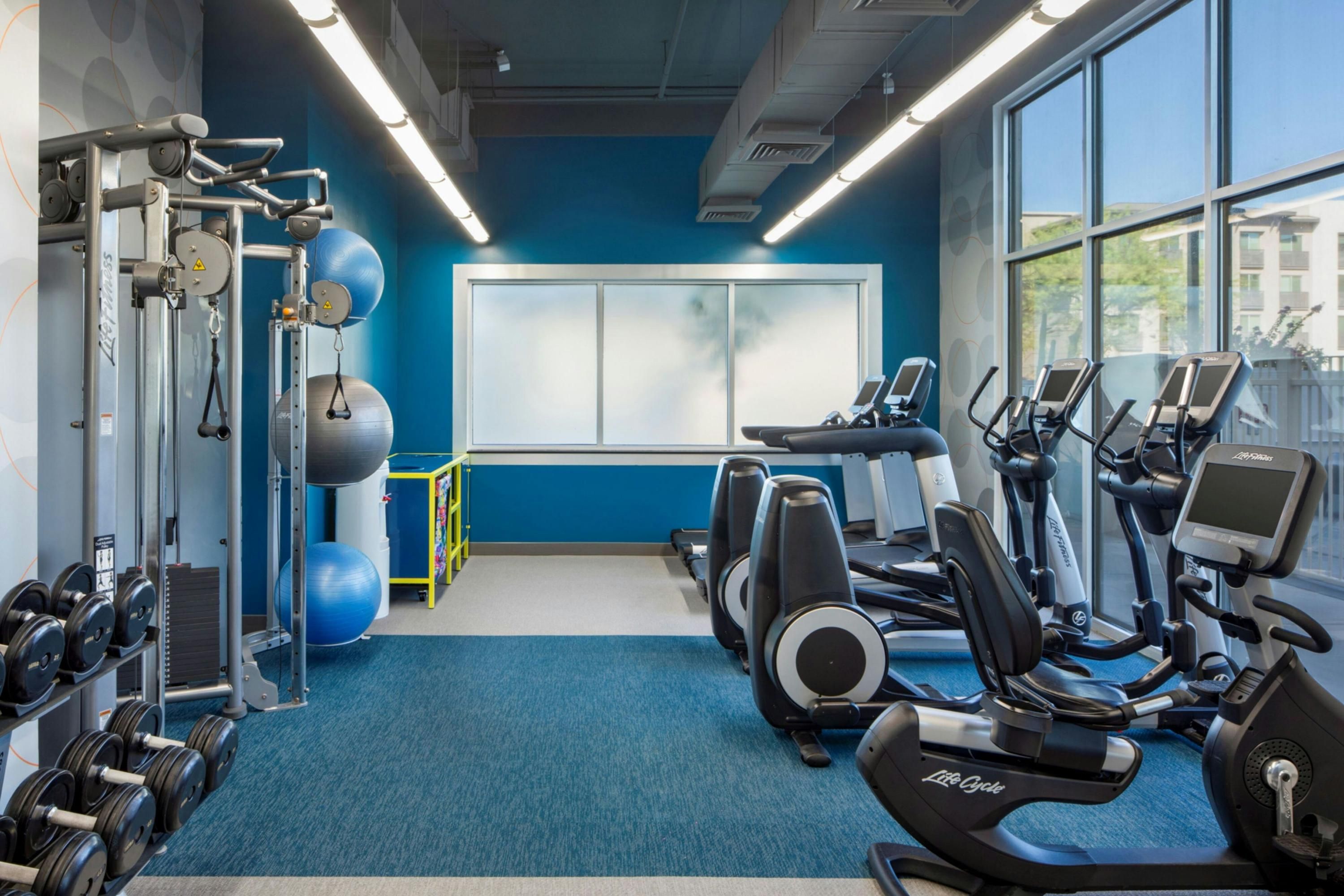 Gym
