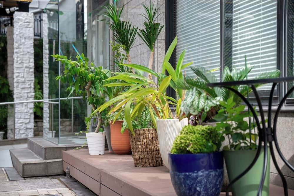 Outdoor view