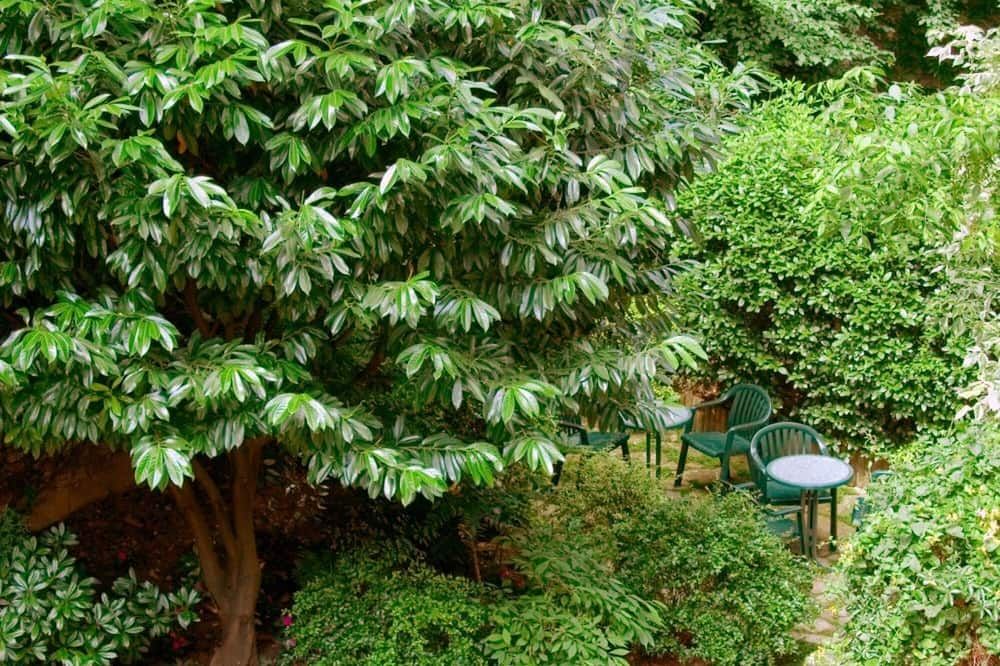 Outdoor view