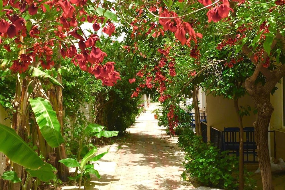 Outdoor view