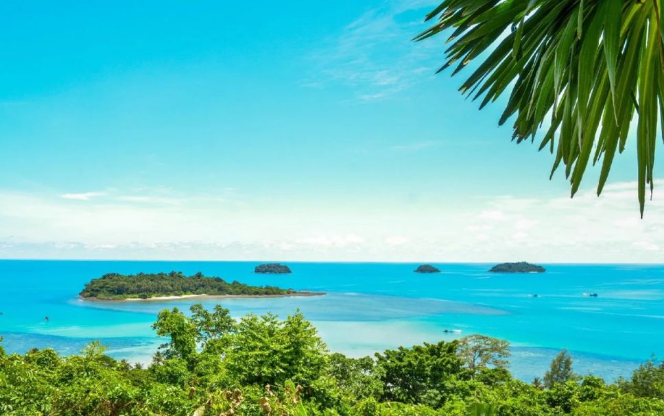 Other Photo