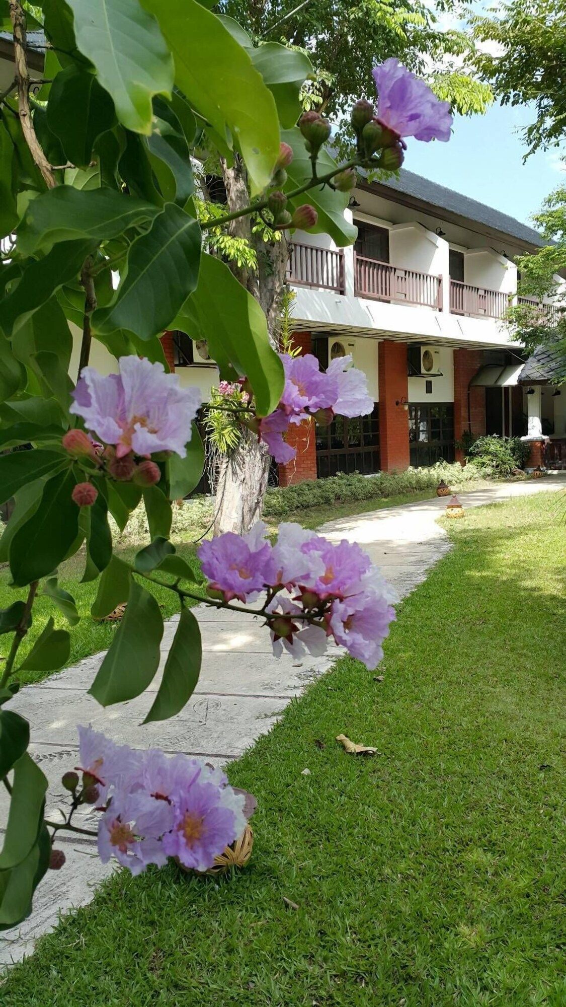 Outdoor view