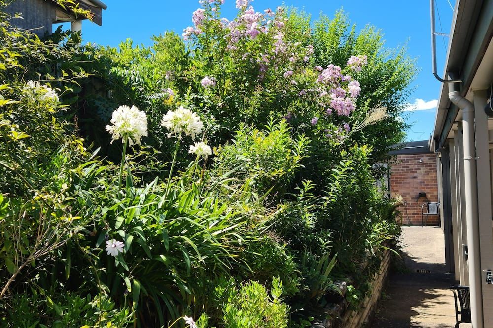 Outdoor view