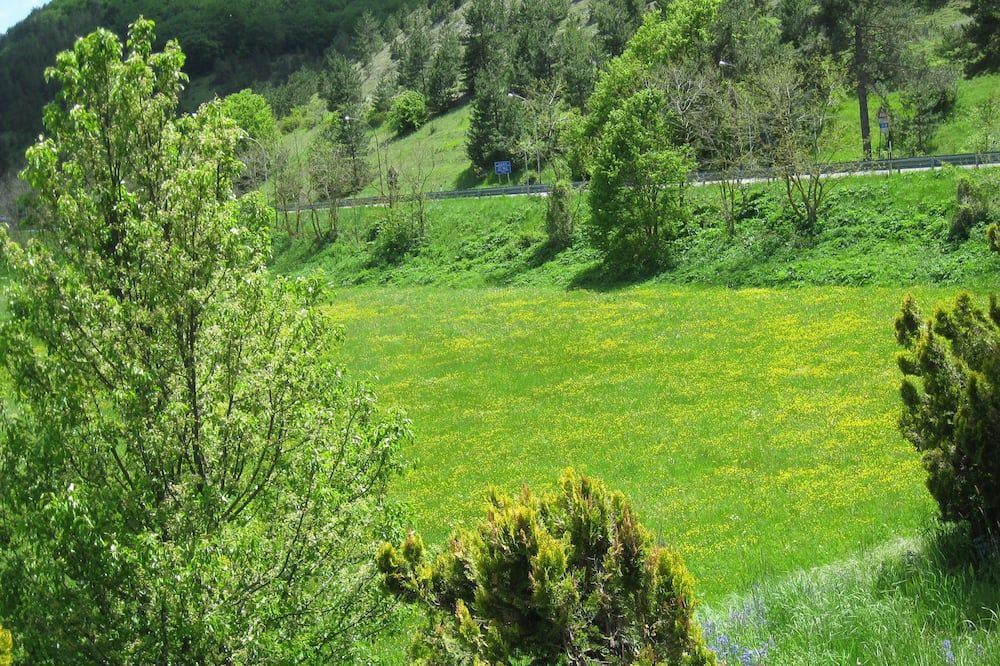 Outdoor view