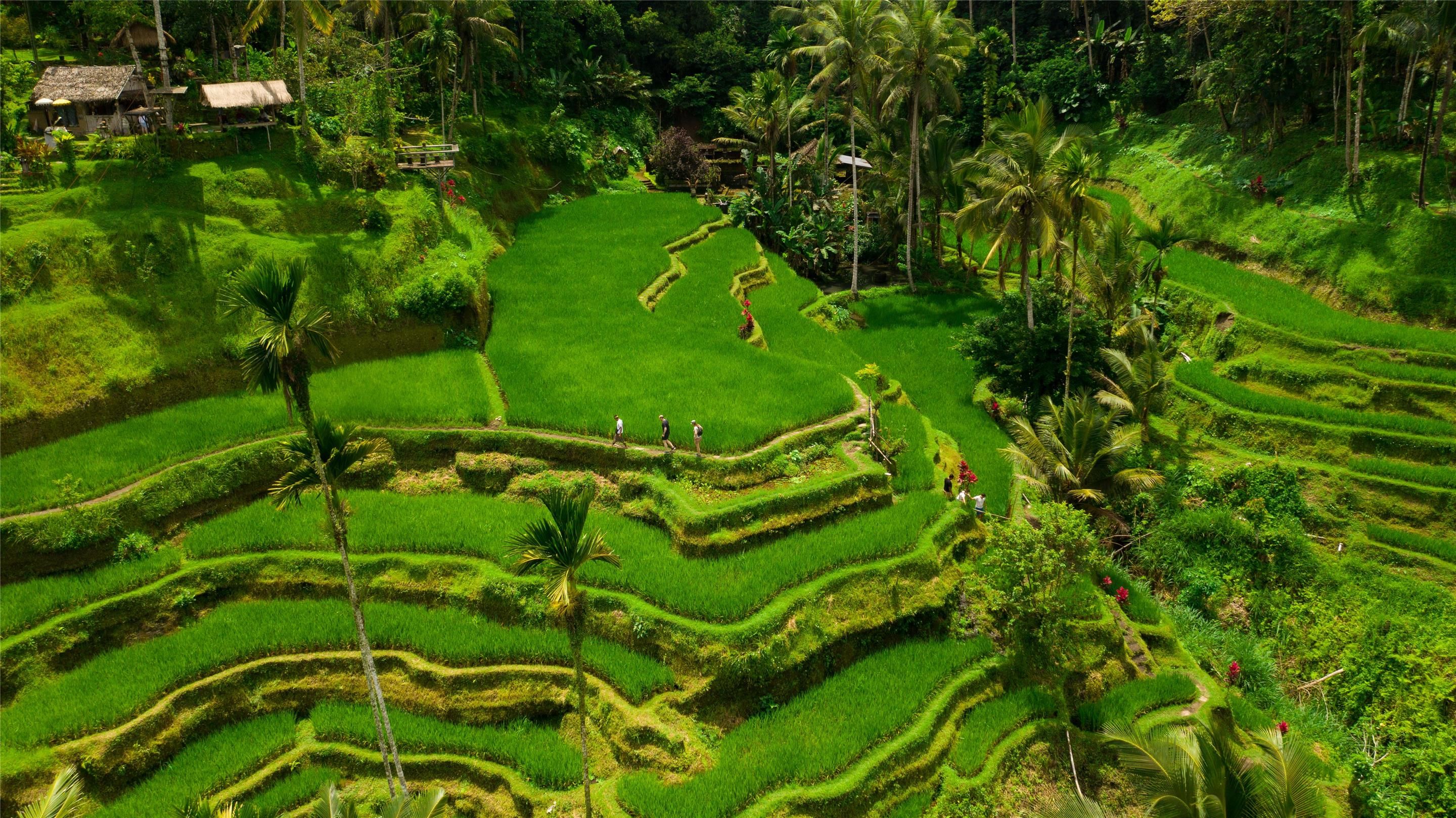 Outdoor view