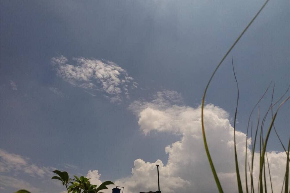 Outdoor view