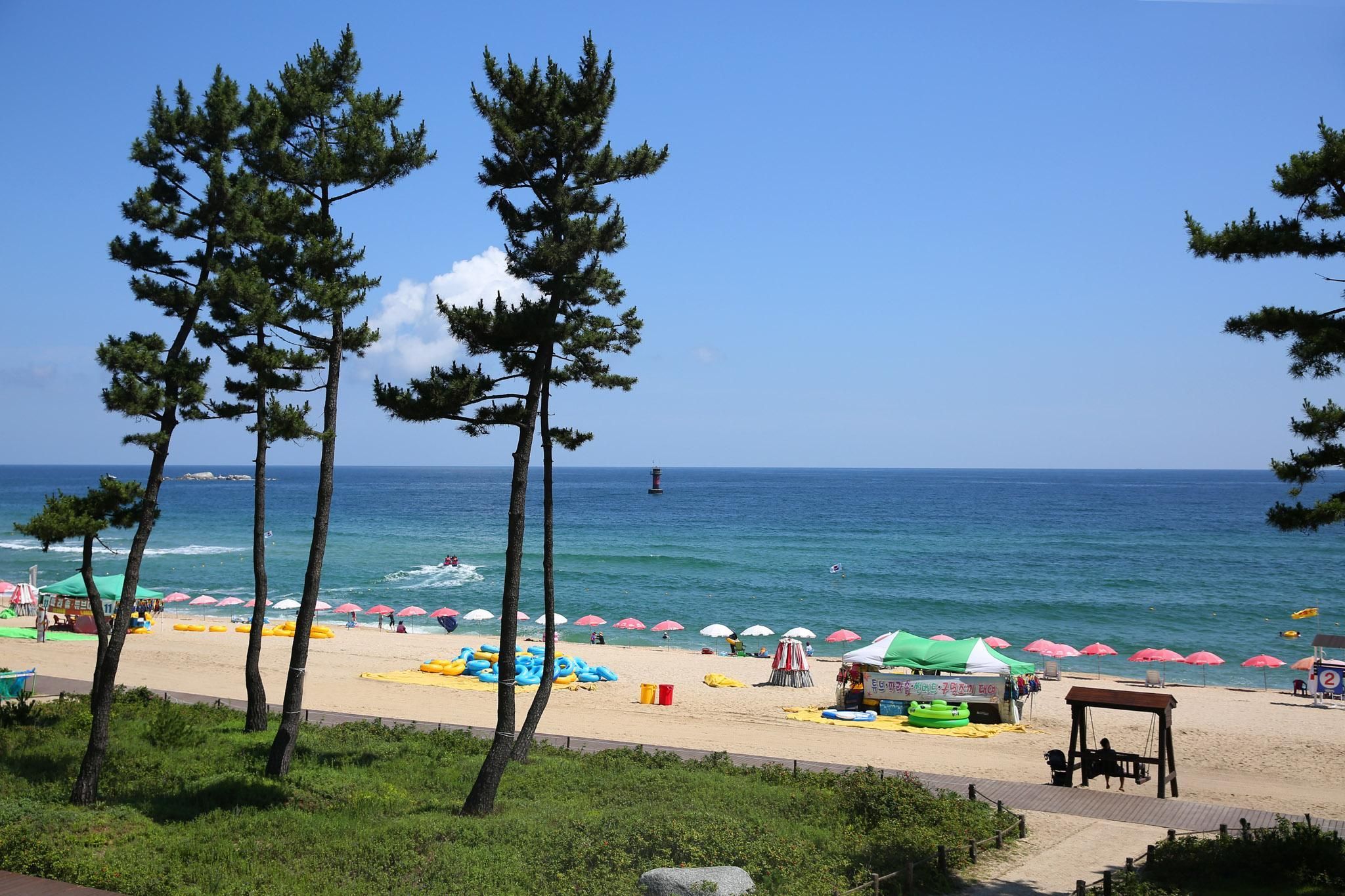 Beach Photo