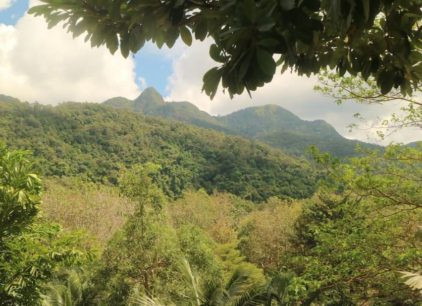 Outdoor view Photo