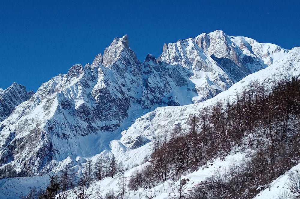 Other Photo