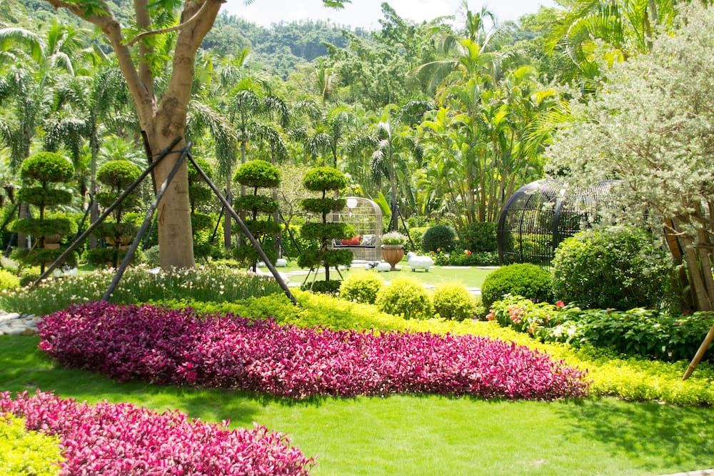 Outdoor view