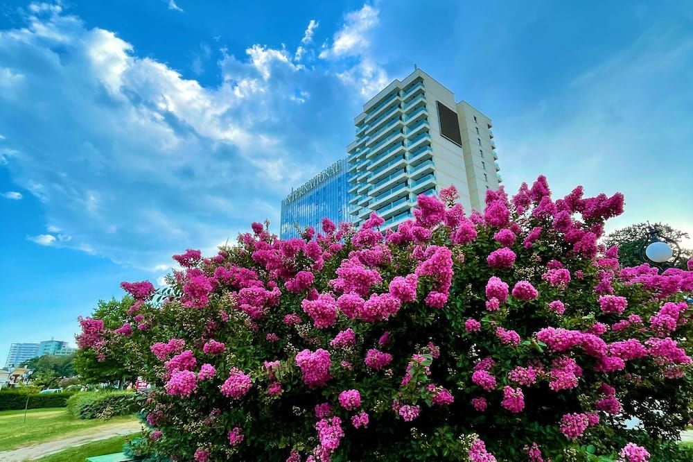 Outdoor view