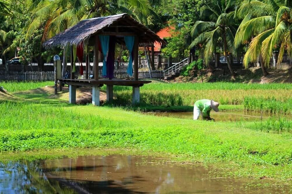 Outdoor view