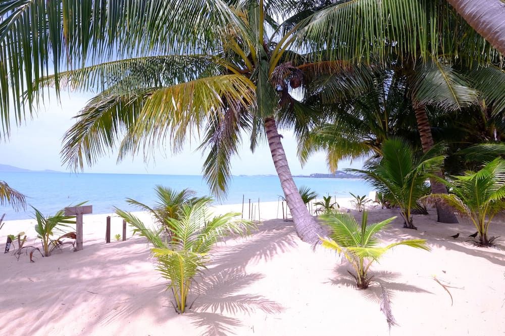 Beach Photo