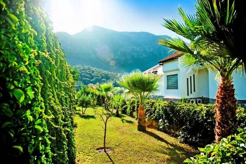 Outdoor view
