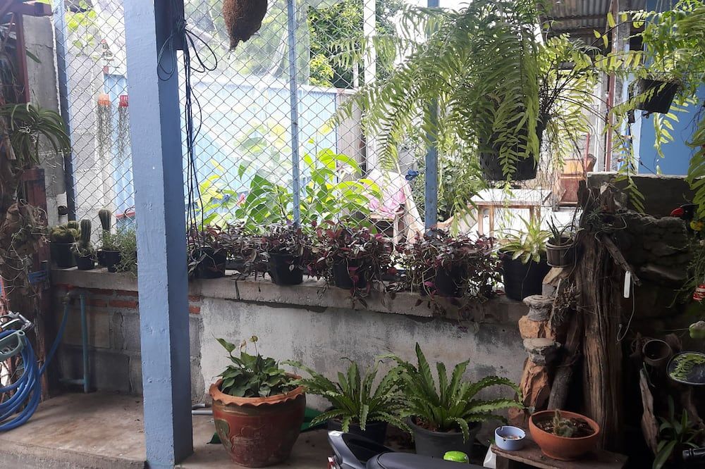 Outdoor view
