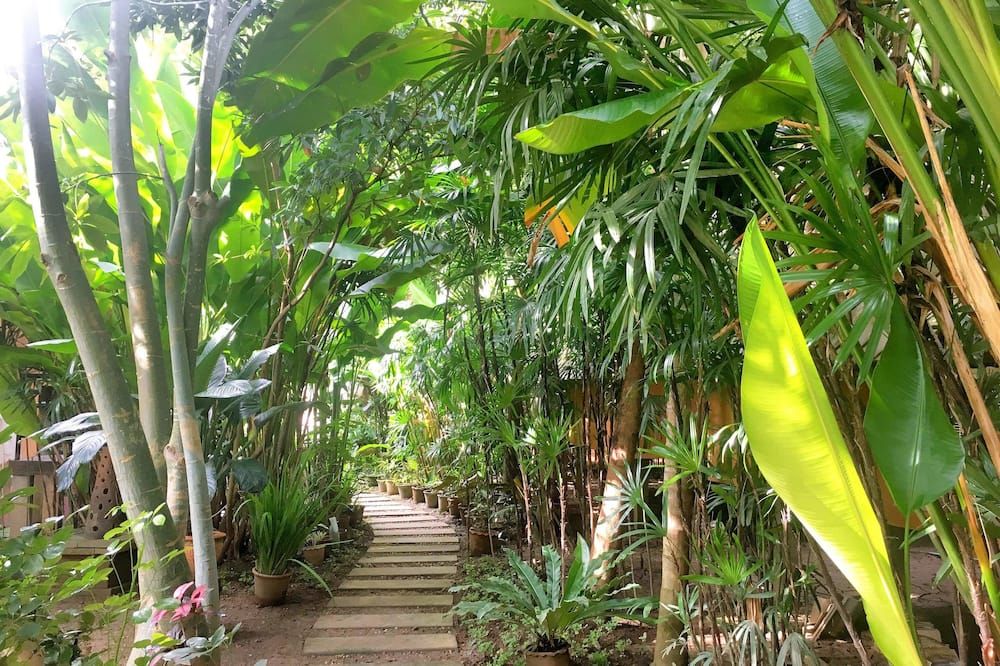 Outdoor view