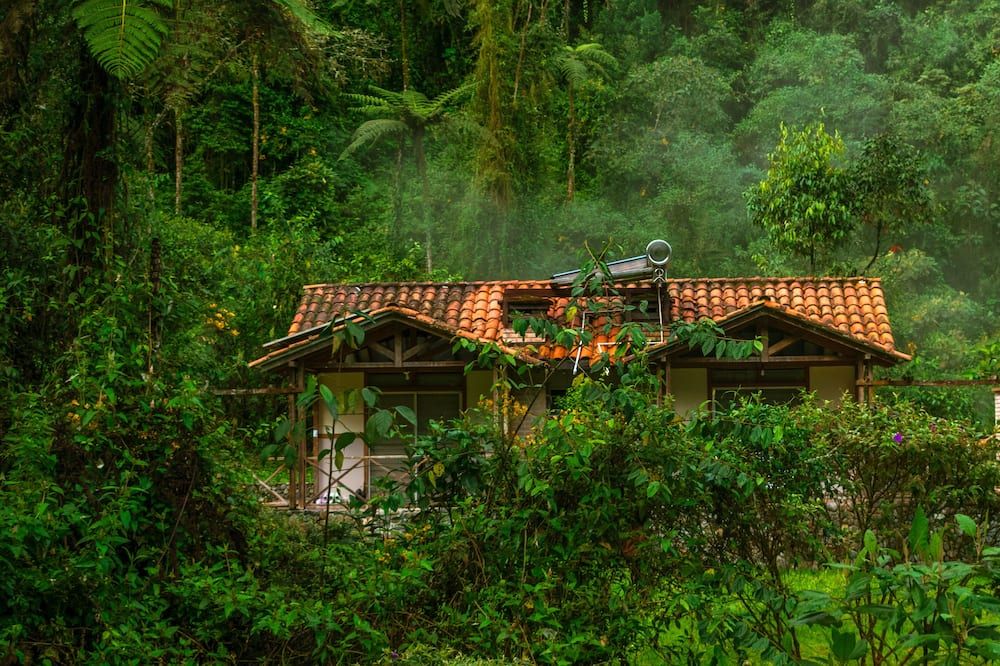 Outdoor view